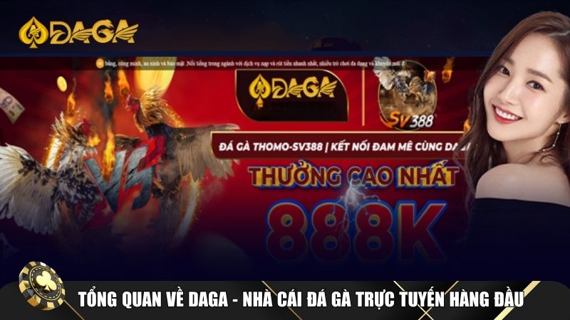 Daga đã trở thành lựa chọn hàng đầu của những người đam mê bộ môn đá gà.
